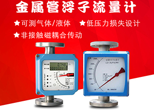 液氨金屬浮子流量計(jì)